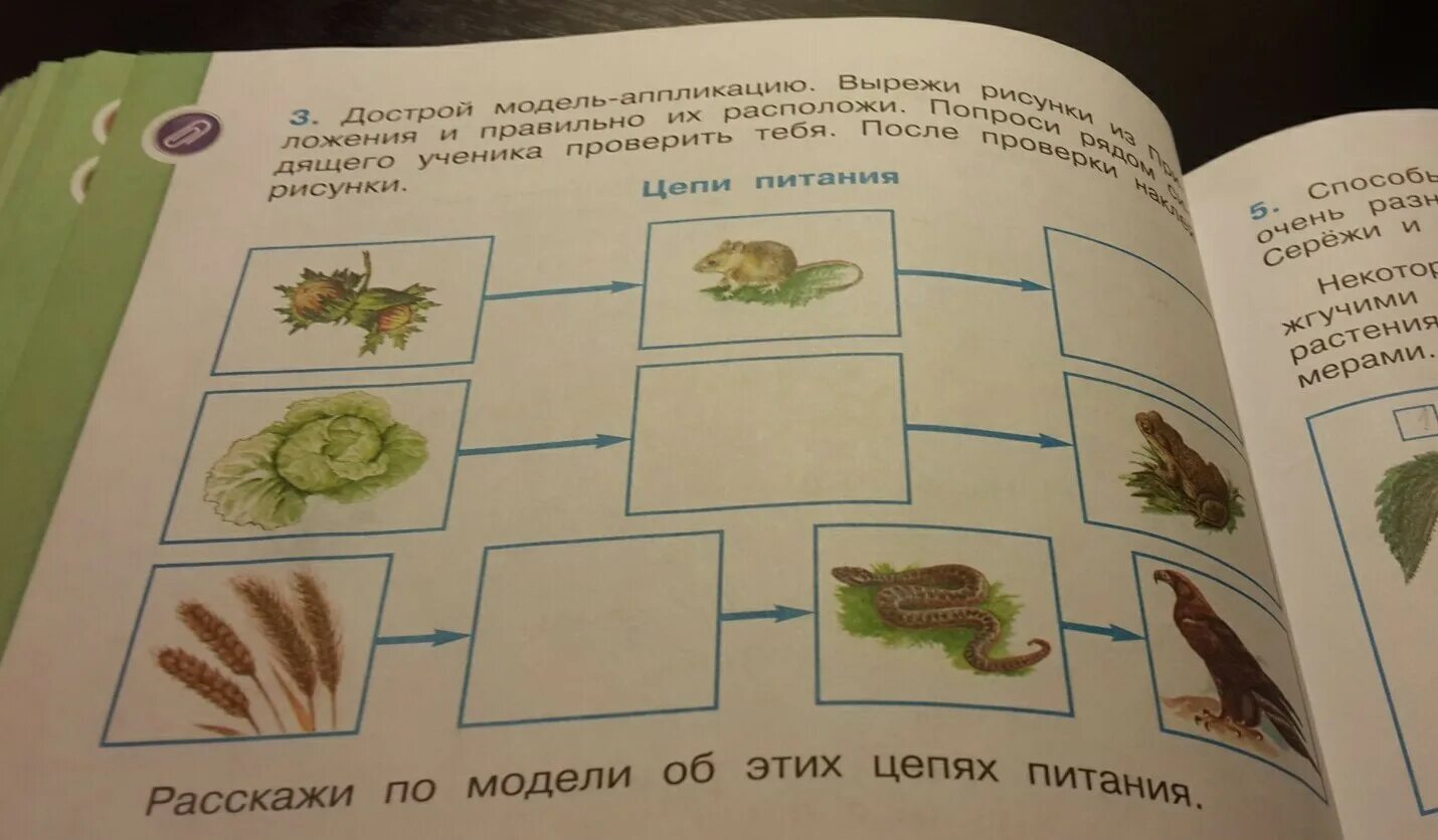 Вырежи из приложения фотографии. Дострой модель аппликацию вырежи. Вырежи из приложения рисунок. Дострой модель аппликацию вырежи рисунки из. Достройте модель аппликацию вырежи рисунки из приложения.