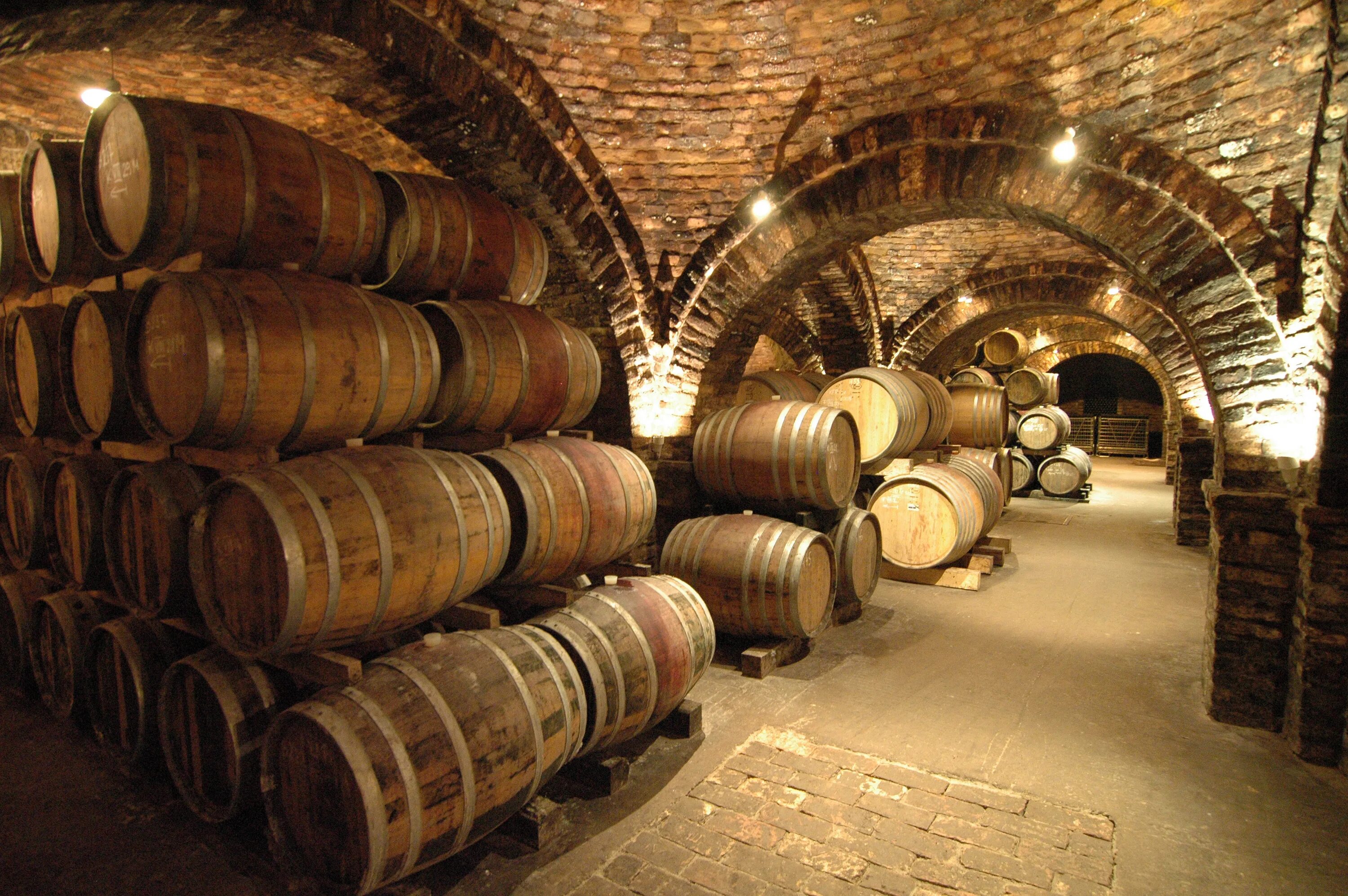 старинный подвал. старинный погреб. старый погреб. винный погреб средневековье. замок шереметева внутри подвала.