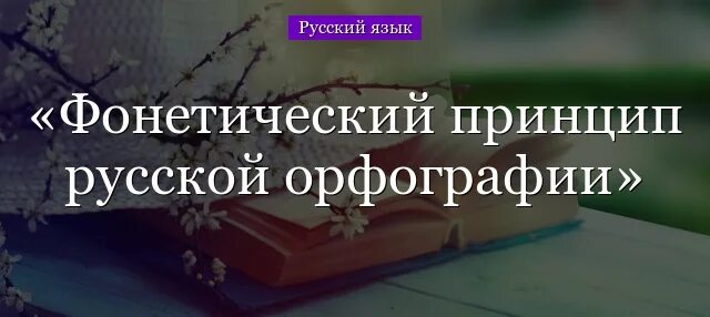 Орфограммы фонетического принципа. Орфограммы фонетического принципа. Фонетический принцип русской орфографии. Орфограммы фонетического принципа. Орфограммы.