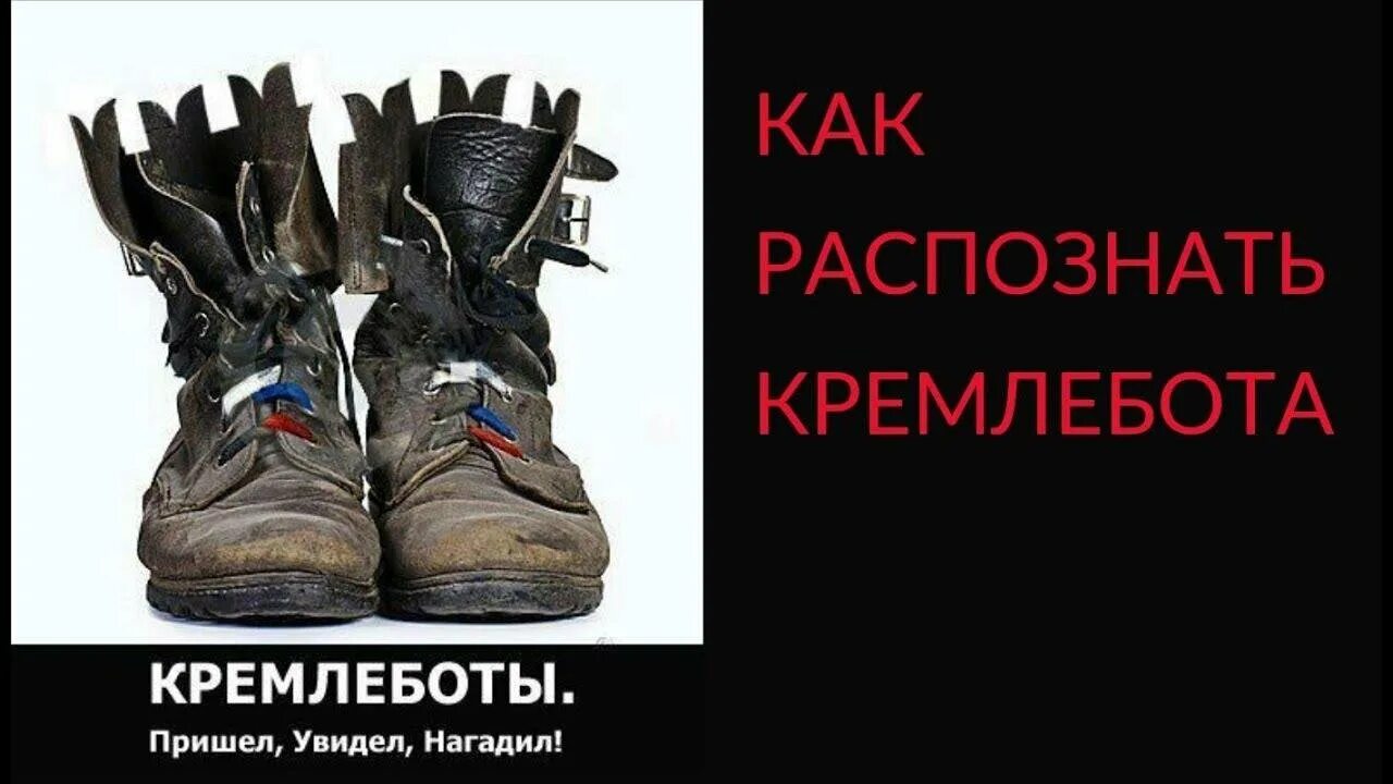 Кремлебот это. Кремлебот. кремлевские боты. кремлеботы ботинки. методичка кремлеботов.