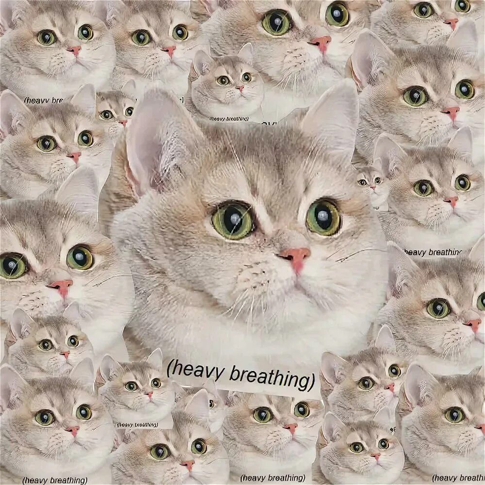 Кот вздыхает мем. Кот вздыхает мем. Кот вздыхает мем. Кот heavy breathing. Тяжелый вздох мем с котом.