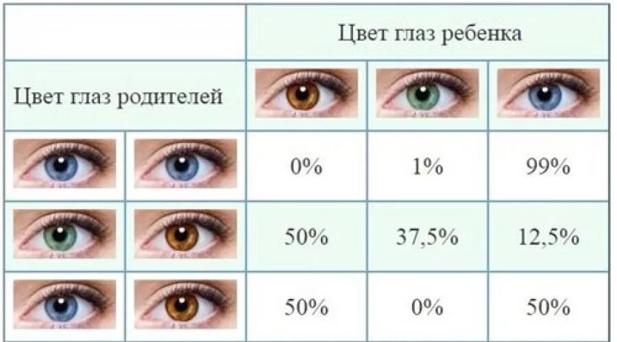 Когда у детей проявляется цвет глаз. Цвет глаз. цвет глаз ребенка. у ребенка меняется цвет глаз. таблица наследования цвета глаз.