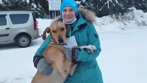 Победил псов