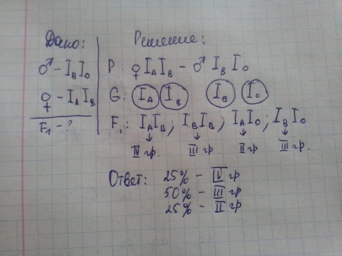 Бомбейский феномен группа крови. Бомбейский феномен задача эпистаз. Гемофилия генотип. 2 группа крови гомозиготна. Родословная по биологии цвет глаз.