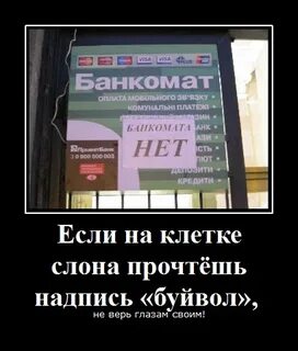 Не верю в свои глаза