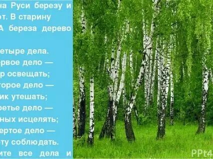Песня про русь березоньку