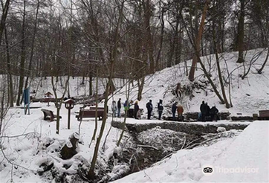 Парк покровское-стрешнево родник. Парк покровское-стрешнево родник царевна-лебедь. Парк покровское стрешнево лебедь. Родник лебедь в парке покровское-стрешнево. Парк покровское-стрешнево родник.