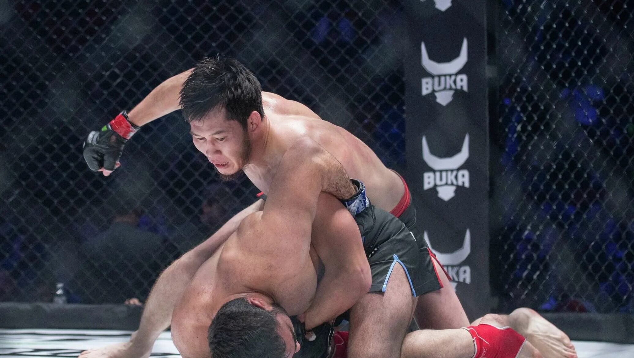 Смешанные единоборства казахстан. Казахстанский флаг на бойце. Смешанные боевые искусства мма. Настоящая борьба. Шавкат рахманов.