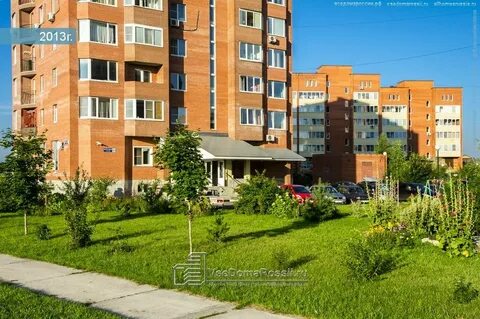 Черноголовка береговая
