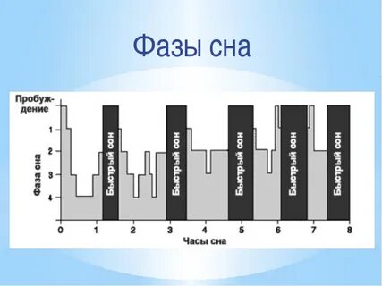 Фазы сна ребенка