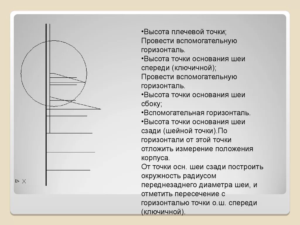 Точка спереди. Высота плечевой точки. Высота шейной точки. Высота точки основания шеи. Вспомогательные горизонтали.