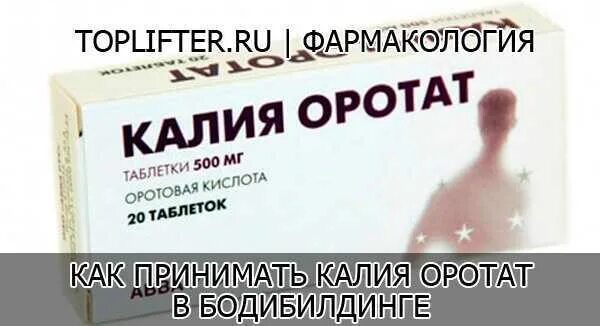 Калий оротат инструкция. Калия оротат анаболический эффект. Кальций оротат показания. Оротат в бодибилдинге. Калия оротат препараты.