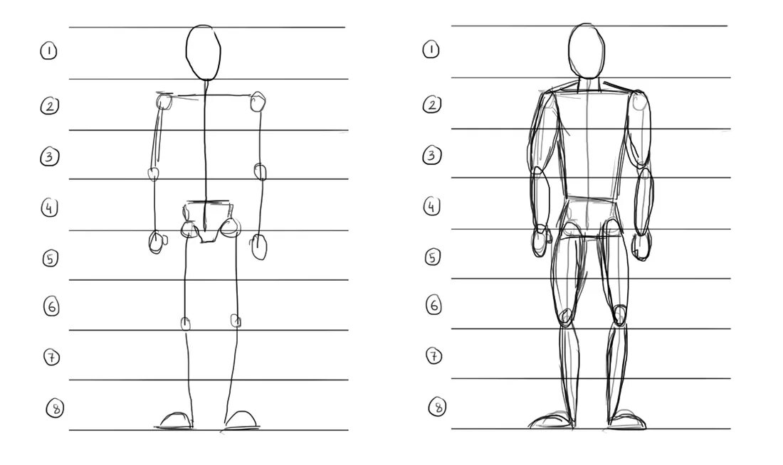 Схема пропорций фигуры человека. Как нарисовать тело человека пропорции. Рисуем тело человека пропорции. Рисунок пропорции и строение фигуры человека.