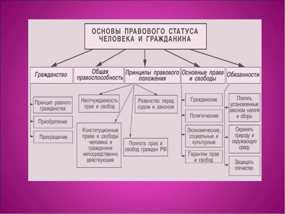 Основы конституционного правового статуса человека