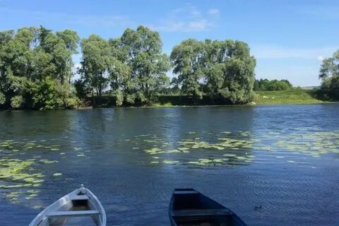 Погода в сейме