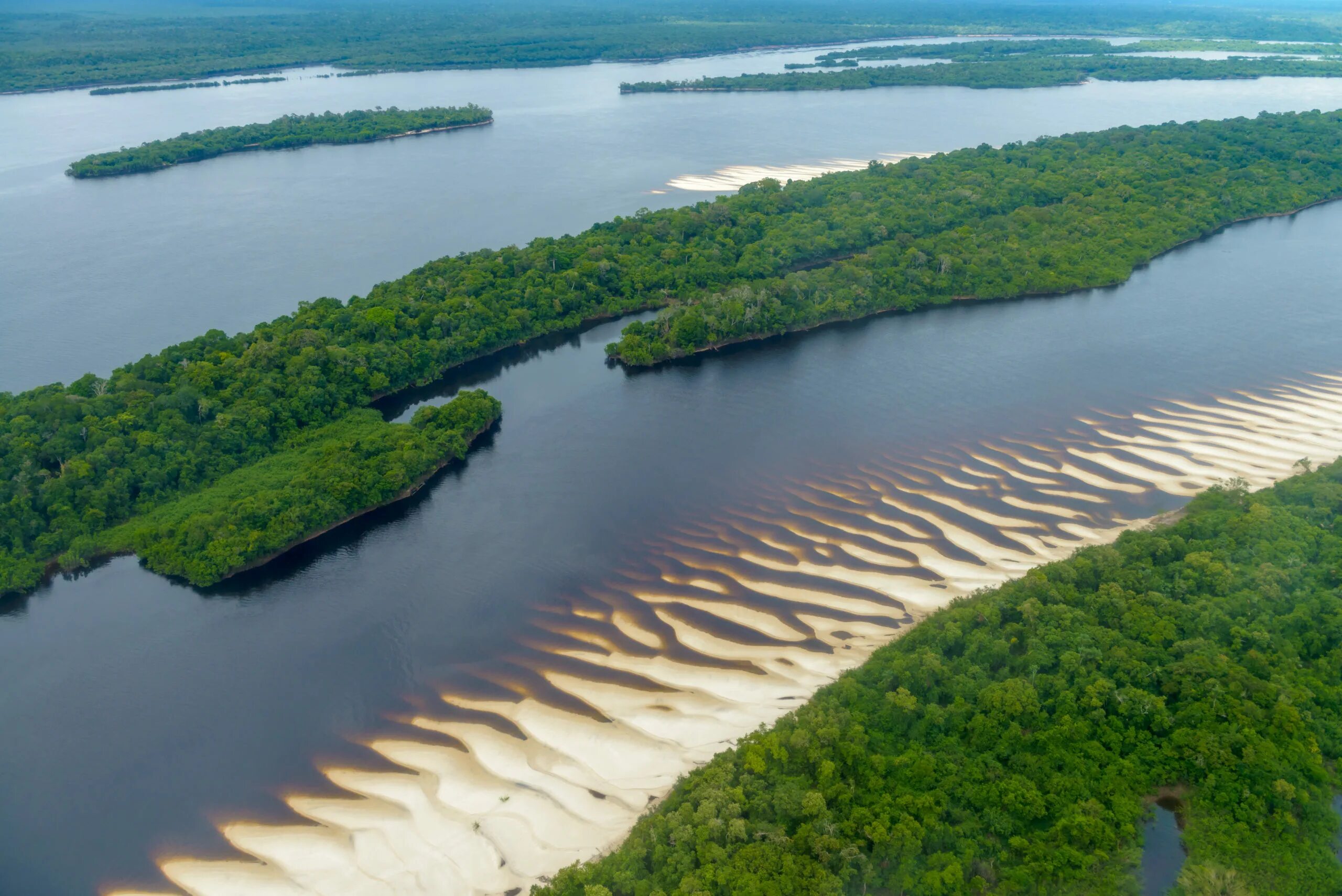 Амазонка сток. Южная Америка река Рио Негро. Амазонка и Рио Негро. Уругвай река Рио Негро. Река Амазонка и Рио Негро Бразилия.