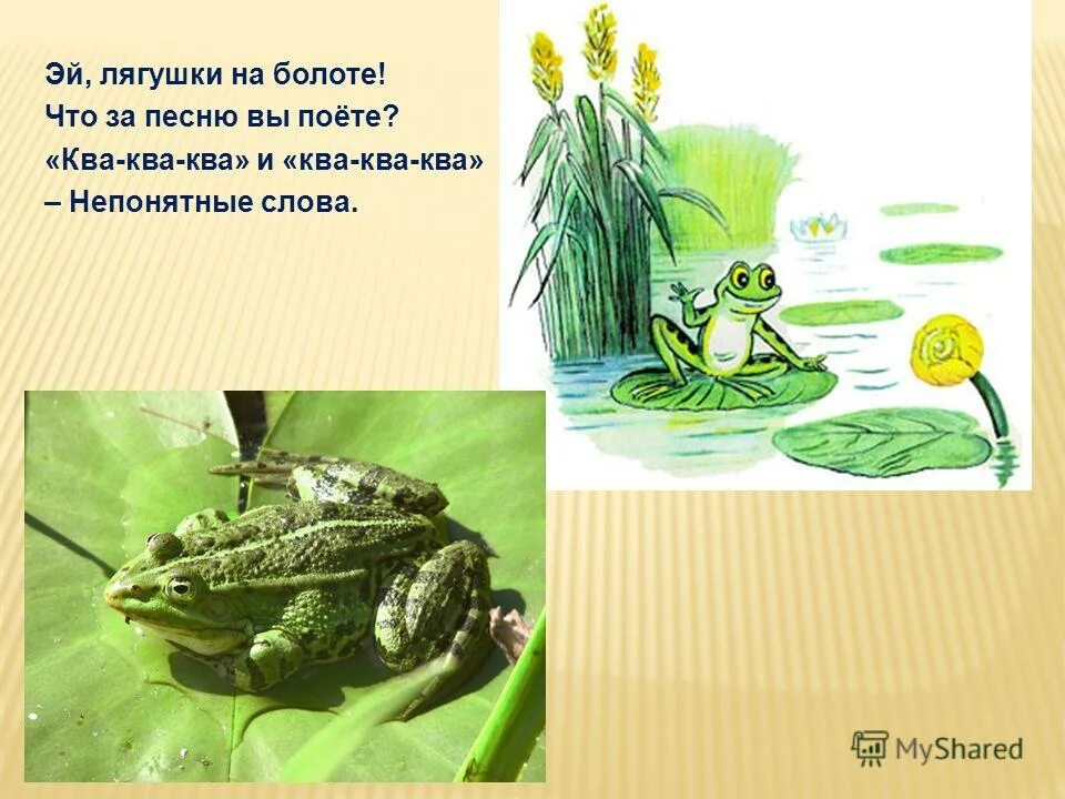 Песня лягушачий хор слова. Песня на болоте суета. Ноты лягушата. Автоматизация л презентация для дошкольников. Песня на болоте суета.