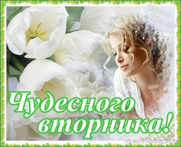 С весенним утром вторника. Хорошего вторника. Открытки вторник. Открытка чудесного вторника. Доброго вторника.