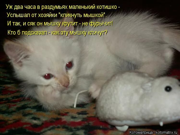 подскажи ка