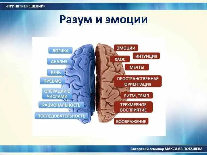 Эмоции и разум. Взаимосвязь интеллекта и эмоций. Рассудок и эмоции. Эмоции и рациональность. Принятие решения синоним