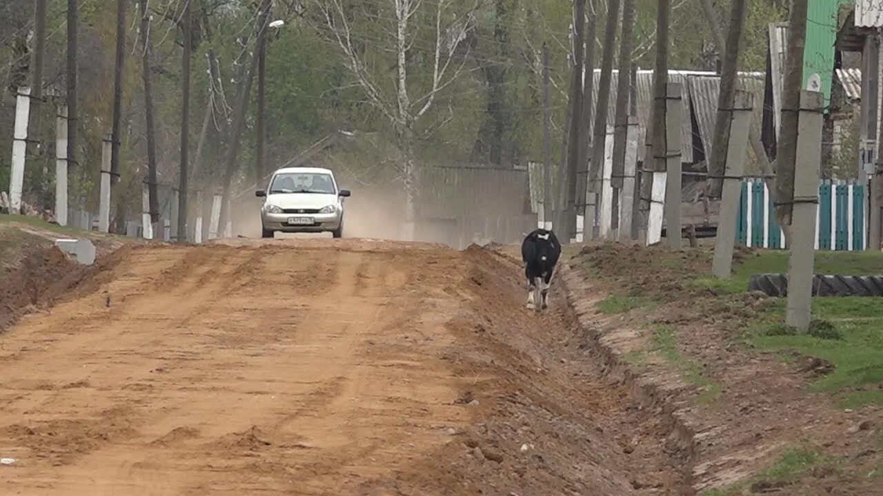 Погода в пазяле. Деревня Пазял Можгинский район. Деревня Пазял Зюмья. Пазял Зюмья Можгинский район. Дорога Пазял Чужьем.