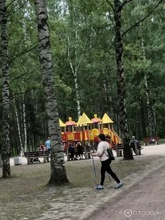 Сосновка отзывы