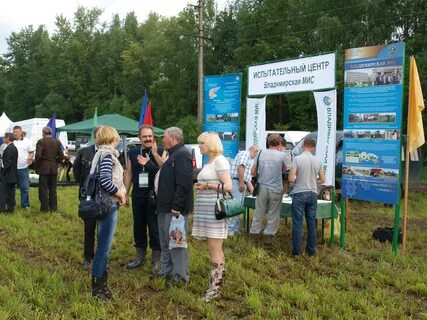 Фгбу владимирский