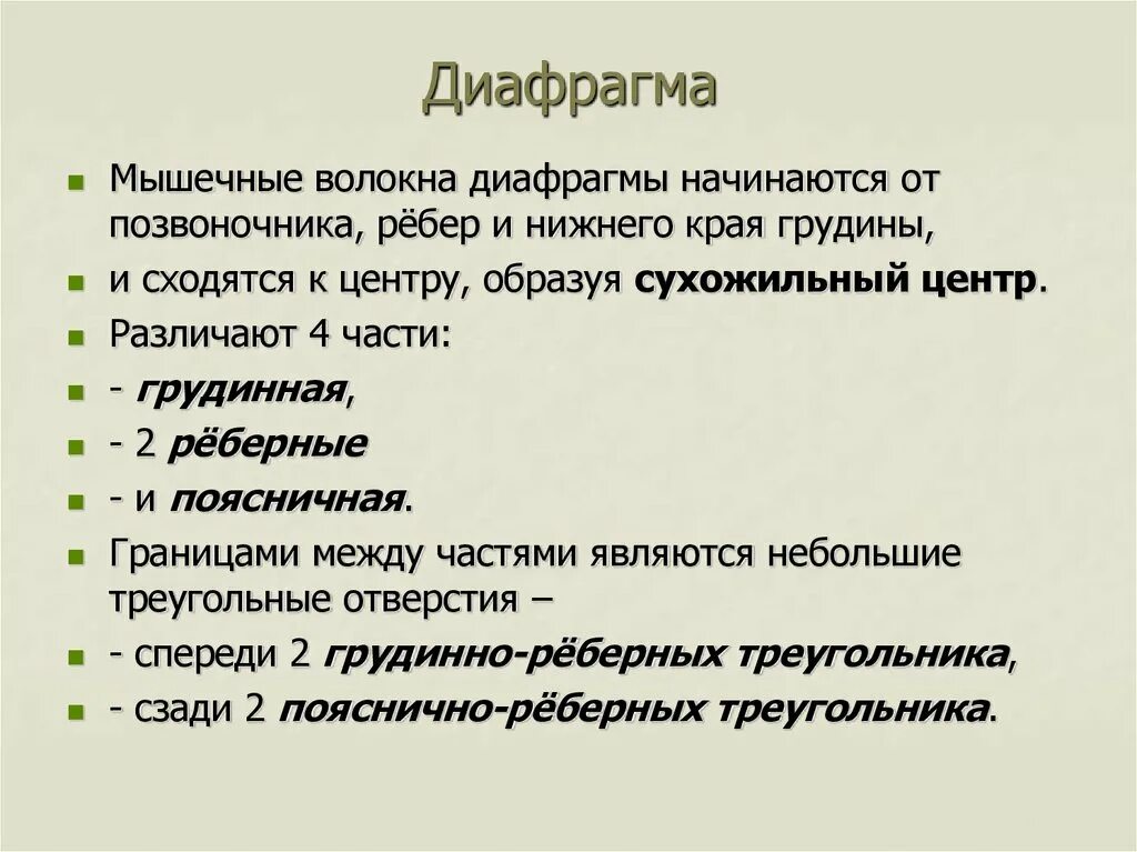 Выполняет функцию диафрагмы. Мышечные волокна диафрагмы. Мышцы диафрагмы таблица. Диафрагма начало прикрепление функции. Диафрагма мышца начало и прикрепление.