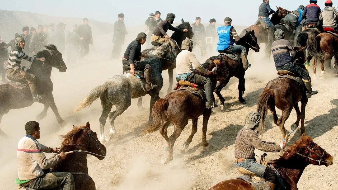 Kopkari. Улок купкари 2020. Азиз. Kopkari. Uloq rassmlari.