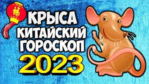 Крысы 2023