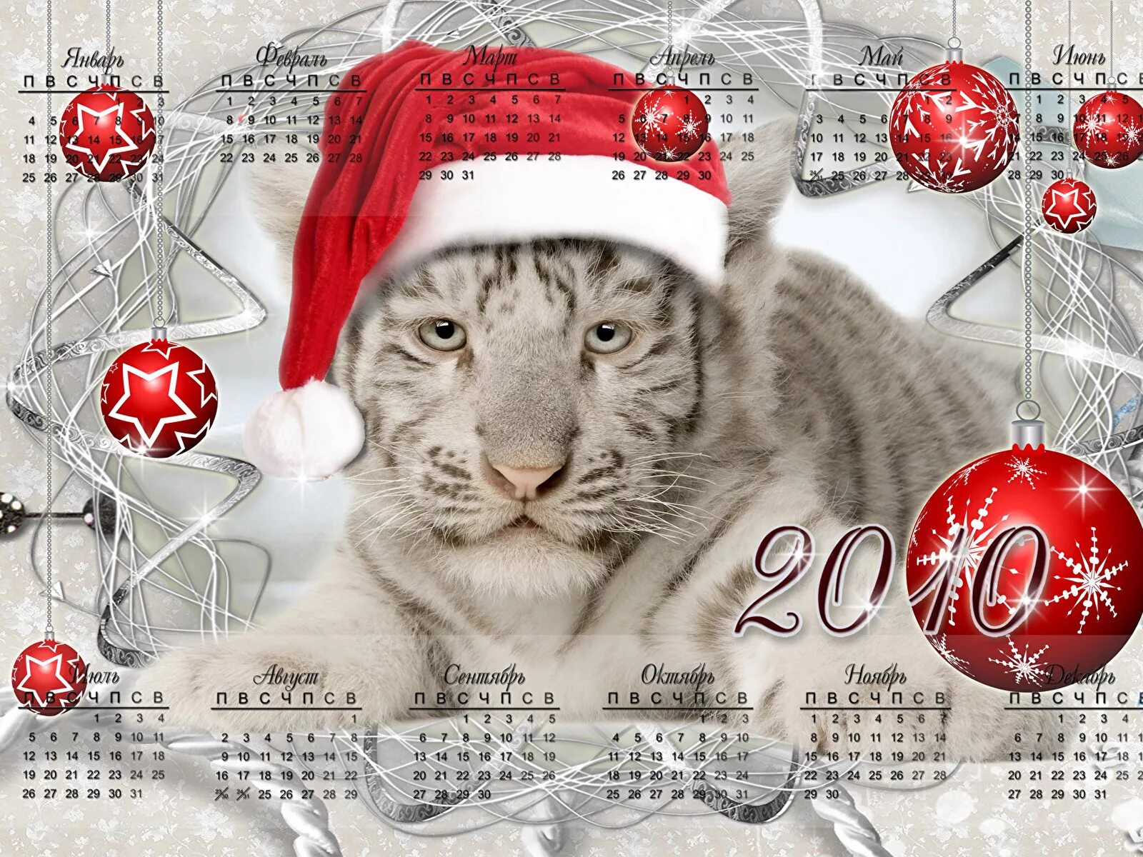 Новой год тигра. Новогодний календарь с тигром. Новогодний Тигренок. Открытка с новым годом 2010. Год тигра 2010.
