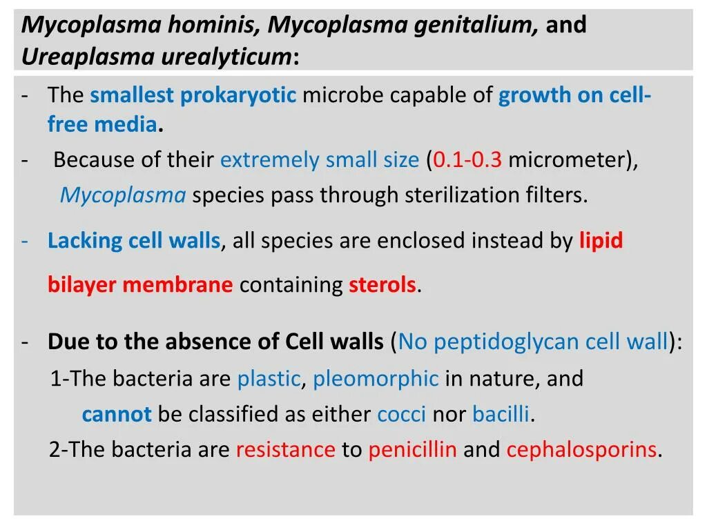 Mycoplasma hominis полукол днк. Микоплазма гоминис mycoplasma. микоплазма hominis и genitalium. уреаплазма гениталиум.