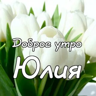 Любимому сыну доброго дня