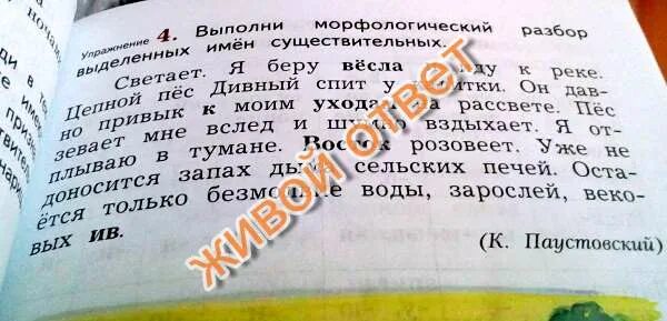 Морфологический разбор на полянке. Морфологический разбор слова вёсла. Выполни морфологический разбор выделенных слов. Выполни морфологический разбор слова весла. Морфологический разбор слова рассказывает.
