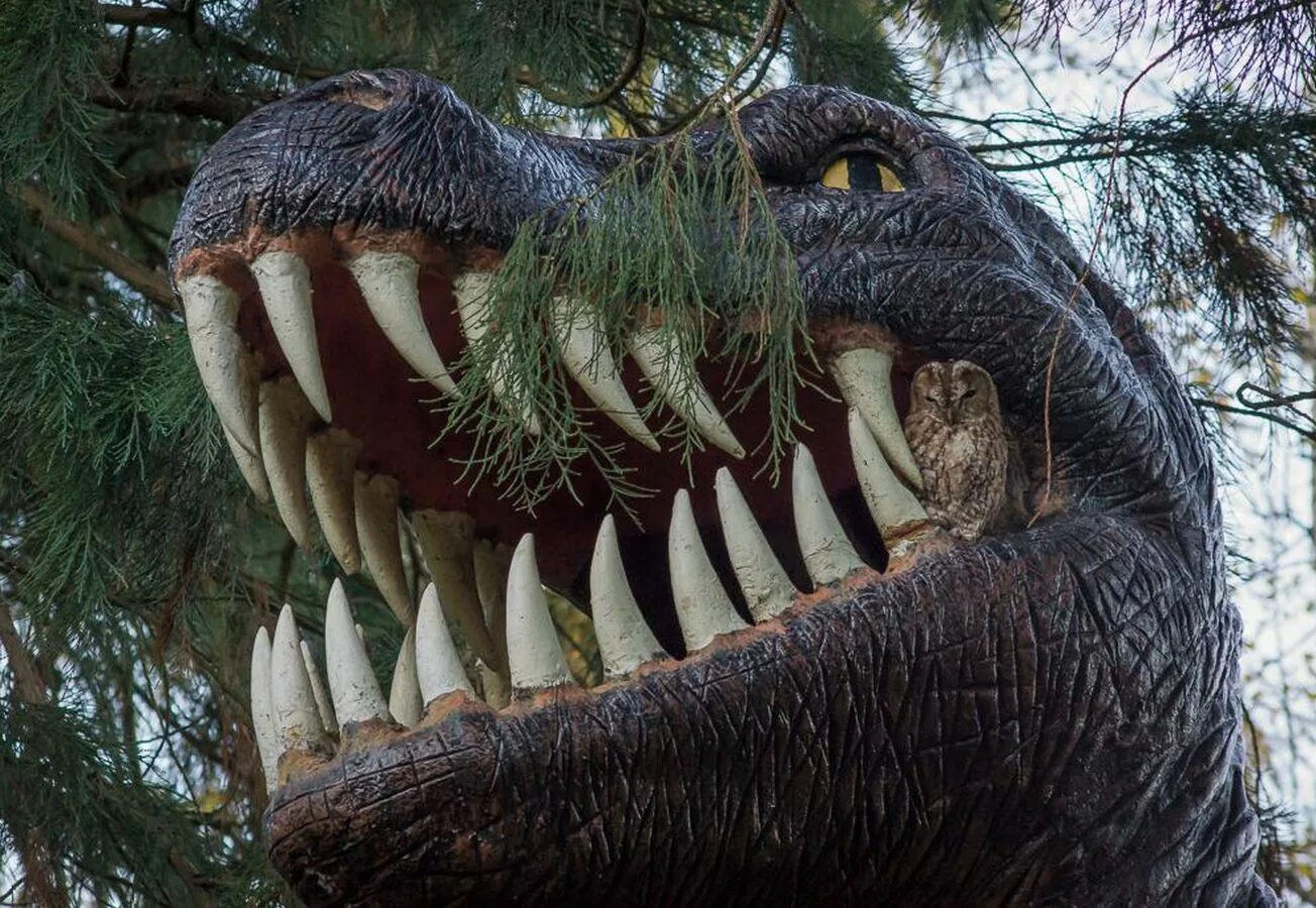 Тапир лапы. Удивительный мир животных. The most interesting animal. Тапир детеныш. Белолицый саки.