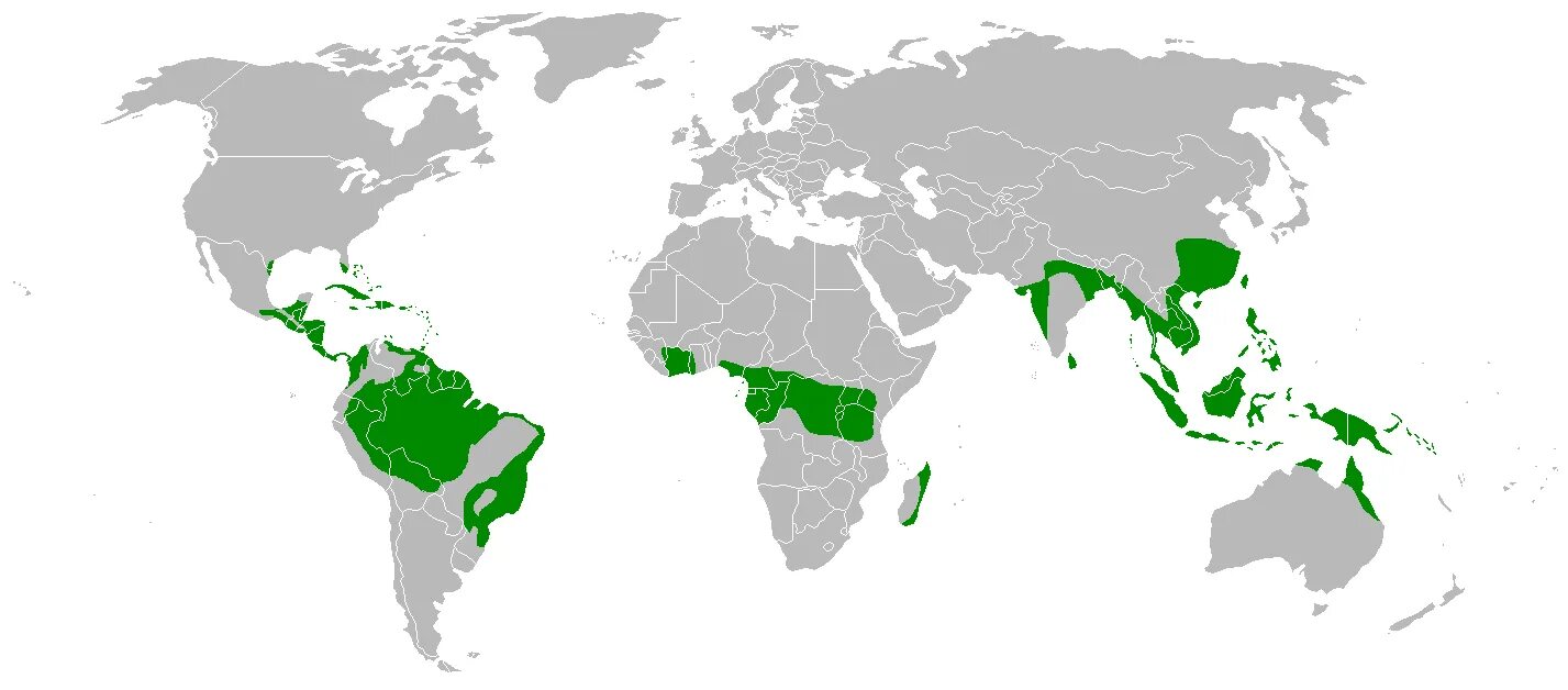 Страны без лесов. Влажный экваториальный лес на карте.