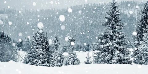 Snowfall in english