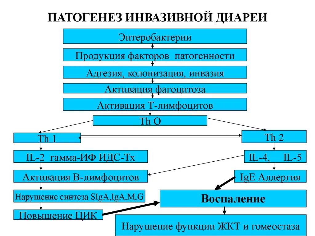Секреторная диарея механизм развития. Патогенез диареи. Осмотическая диарея механизм. Секреторная диарея патогенез. Патогенез ротавирусной инфекции.