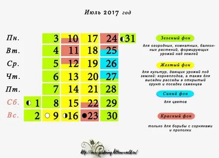 Июль 2017 года