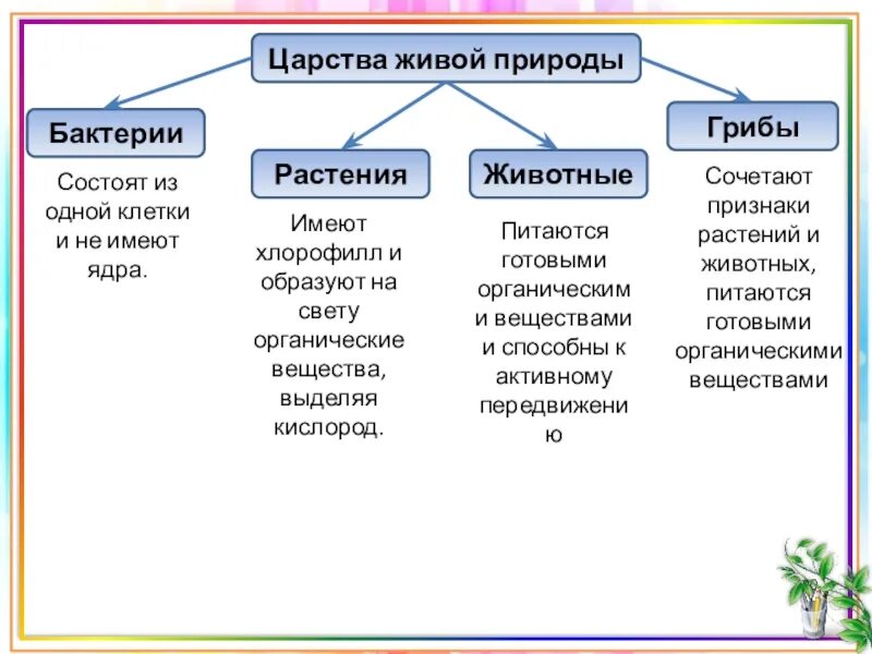 Грибы растения бактерии что лишнее и почему. Царство живой природы классификация схема. Царство животных царство растений царство грибов царство бактерий. Общая характеристика Царств живой природы. Таблица царство природы царство бактерий грибы.