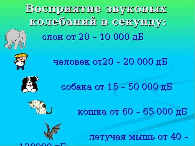 Частота звуков животных. Звуковой диапазон животных. Частоты звука животные. Какие частоты не слышит человек. Слышимый звуковой диапазон человека