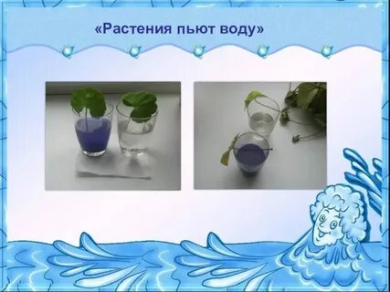 Как правильно принять цветы