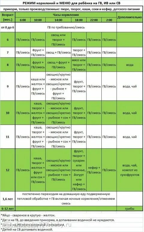 График питания ребенка до года. Меню прикорма детей до года. Прикорм ребенка по месяцам меню до года. Примерный рацион ребенка по месяцам.