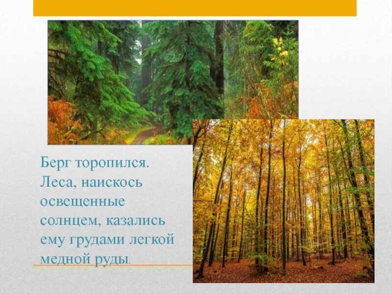 Берг текст паустовского. Паустовский Акварельные краски. Акварельные краски Паустовский иллюстрации. Иллюстрации к рассказу Паустовского Акварельные краски для детей. Берг Паустовский.