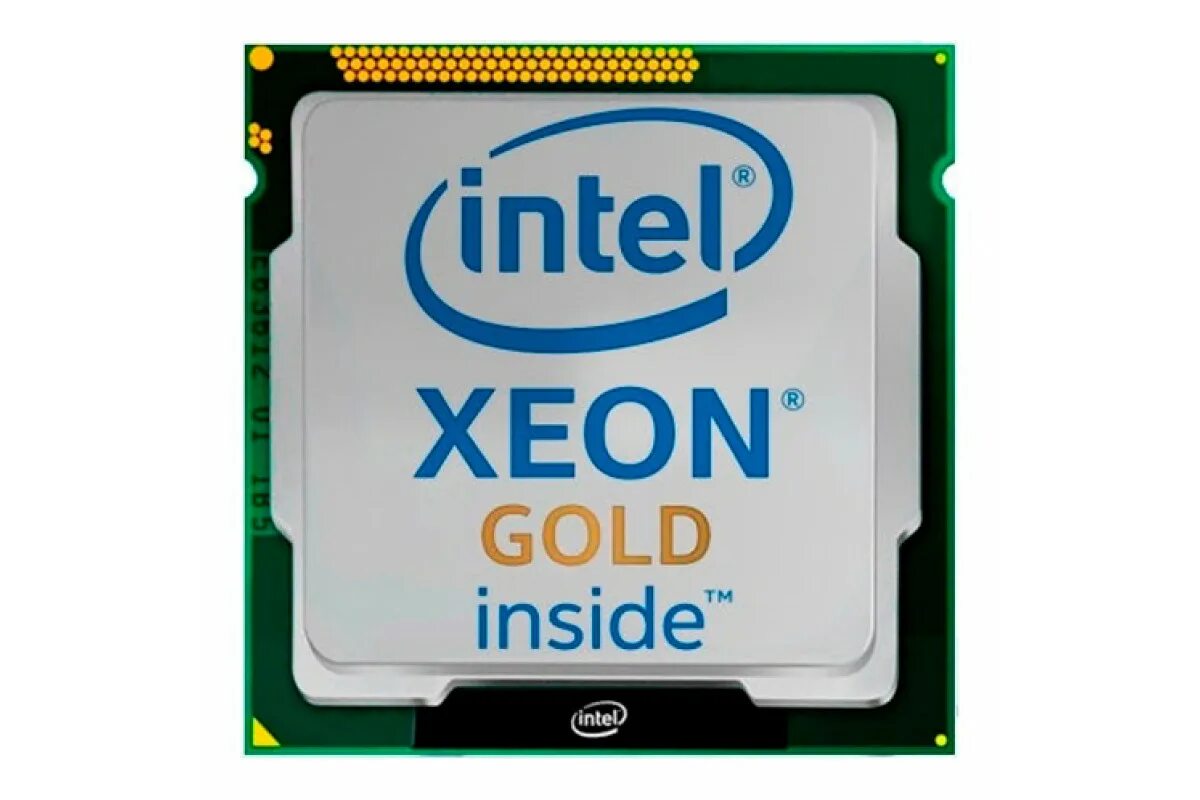 Процессор Intel Xeon Silver 4216. Intel Xeon Gold-6146. Процессор Intel Xeon Gold 6238r. Intel Xeon Gold 6226r.