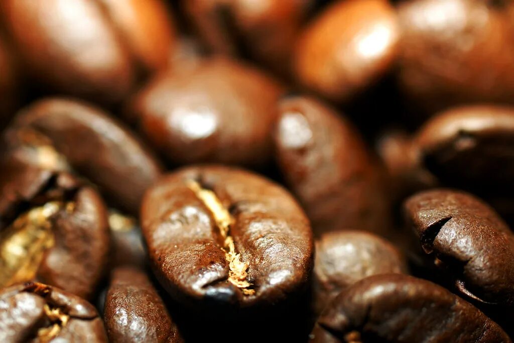 Кофе с робустой. Арабика Робуста Либерика. Сорта кофе Арабика. Сорт арабики Бурбон. Маракайбо кофе.