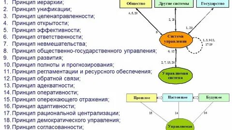 Общие принципы организации это