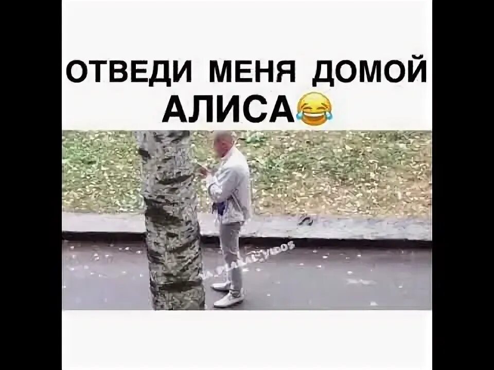 Алиса восстание машин. Привет я алиса. Алиса я пришла домой. Алиса голосовой помощн. Алиса галасавойпомошник.