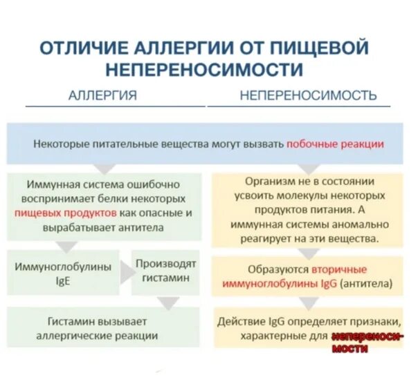 Как отличить аллергическую. Пищевая аллергия признаки. Проявление пищевой аллергии. Аллергия пищевая аллергия. Проявления пищевой непереносимости.