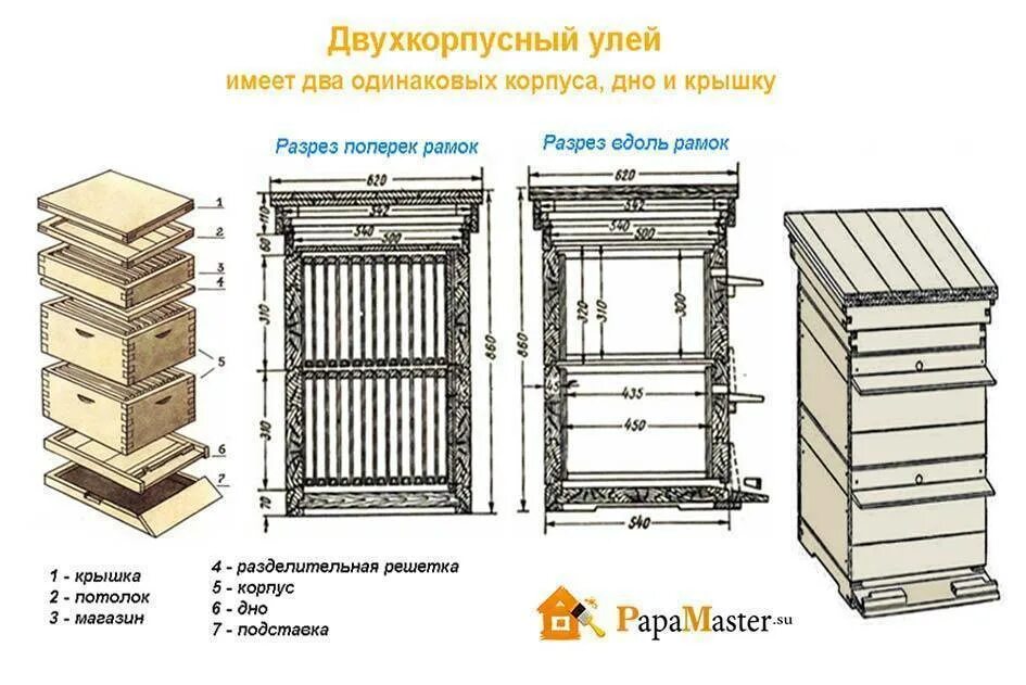 Двухкорпусный улей Дадан на 12 рамок. Улей 12 рамочный (Дадан). Улей Дадан чертеж. Улей Дадана чертеж.